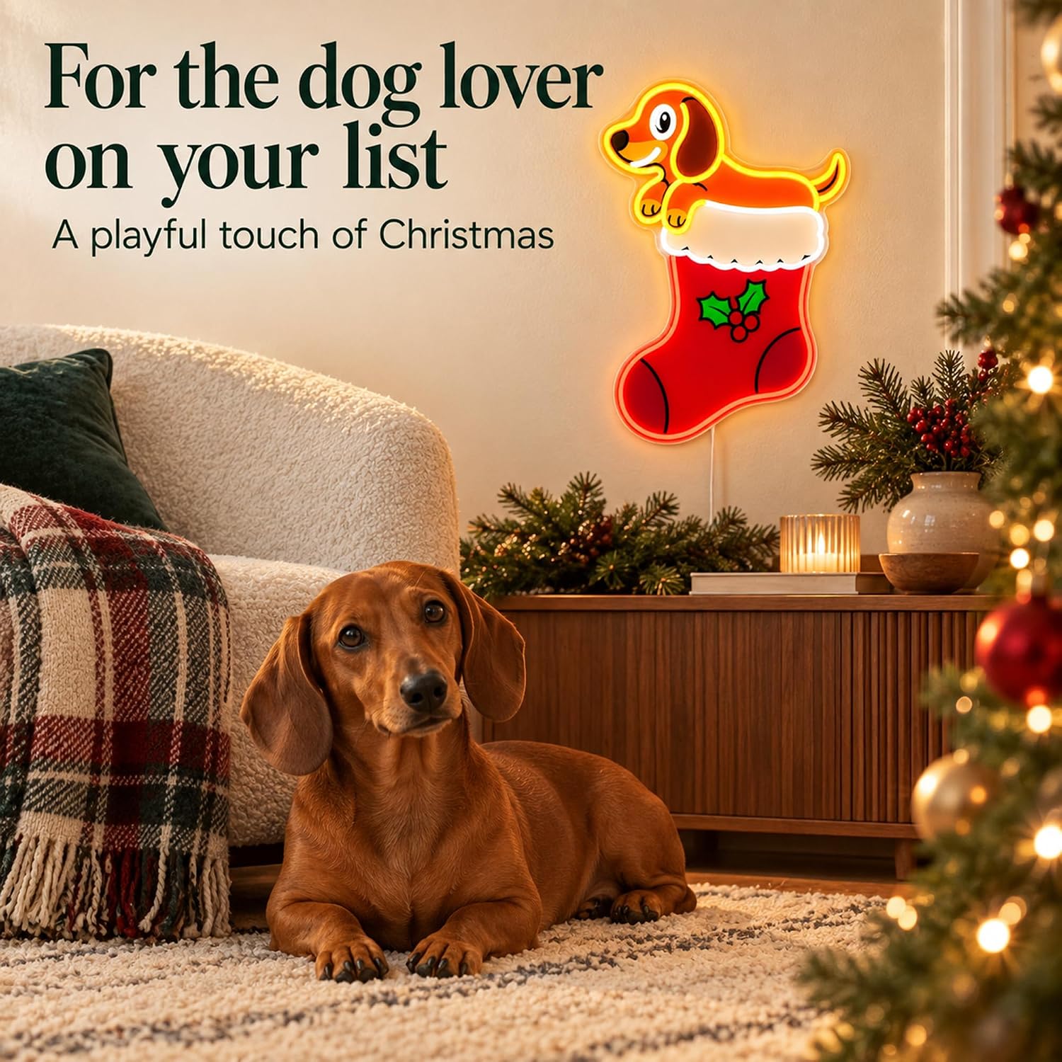 Weihnachtsstrumpf LED-Neonschi – Lighting Christmas Decor Bewertung und Preis